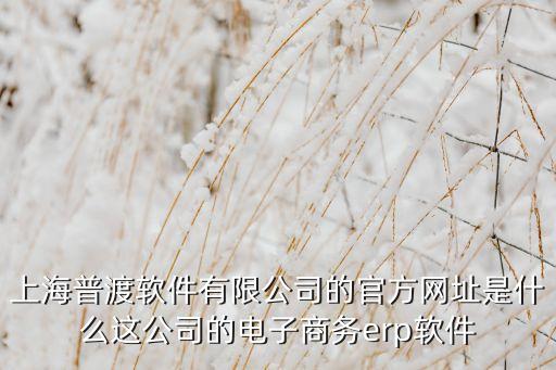上海普渡軟件有限公司的官方網(wǎng)址是什么這公司的電子商務(wù)erp軟件