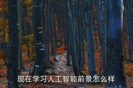 現(xiàn)在學(xué)習(xí)人工智能前景怎么樣