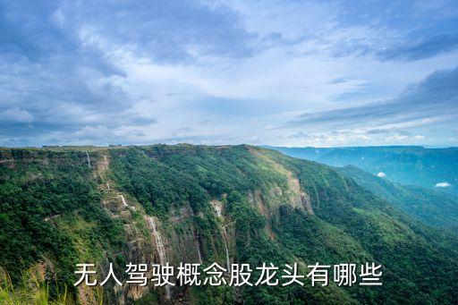 無人駕駛概念股龍頭有哪些