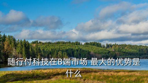隨行付科技在B端市場 最大的優(yōu)勢是什么