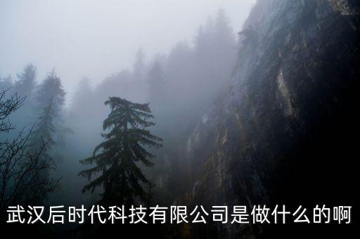 武漢后時(shí)代科技有限公司是做什么的啊