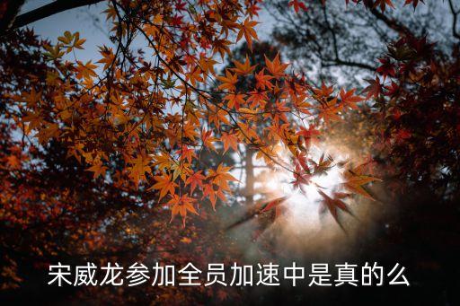 宋威龍參加全員加速中是真的么