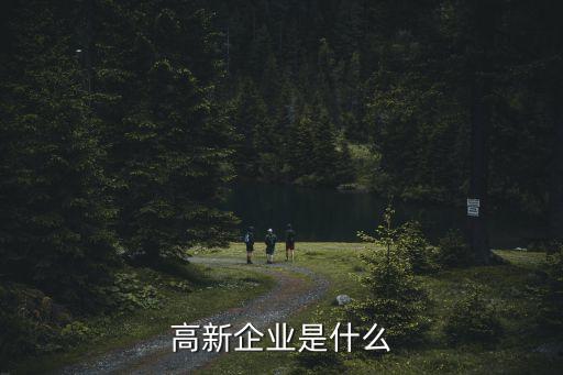 什么是高新技術企業(yè)，什么是高新技術企業(yè)