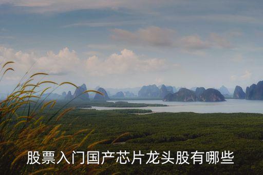 股票入門國(guó)產(chǎn)芯片龍頭股有哪些