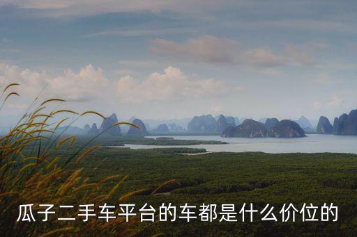 瓜子二手車平臺(tái)的車都是什么價(jià)位的