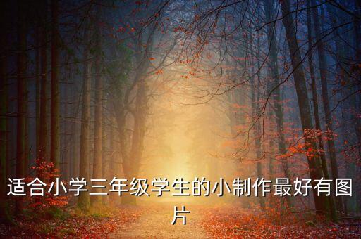 適合小學(xué)三年級(jí)學(xué)生的小制作最好有圖片