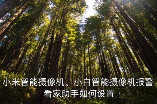 米家攝像頭自動(dòng)看家,小米智能攝像機(jī)如何設(shè)置和查看