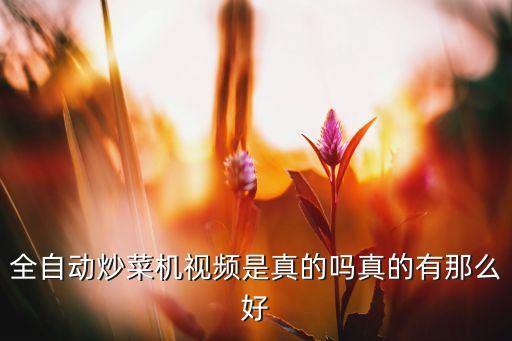 全自動炒菜機(jī)騙局，全自動炒菜機(jī)的視頻是正的還是忽悠人的