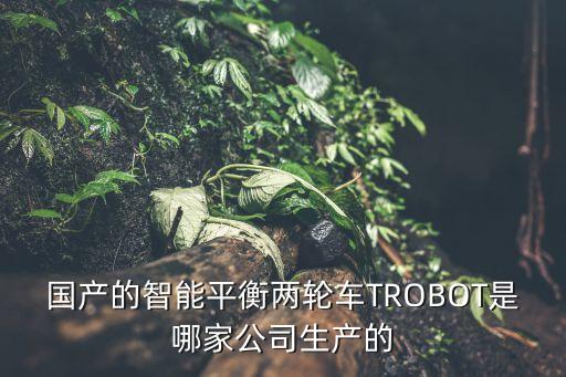 國產(chǎn)的智能平衡兩輪車TROBOT是哪家公司生產(chǎn)的