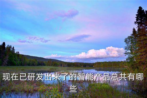 請問現(xiàn)在有哪些智能產品，現(xiàn)在已研發(fā)出來了的智能產品總共有哪些