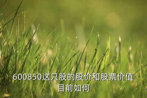 600850這只股的股價(jià)和股票價(jià)值目前如何