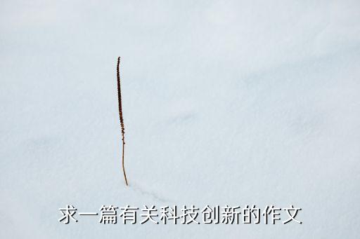 求一篇有關(guān)科技創(chuàng)新的作文