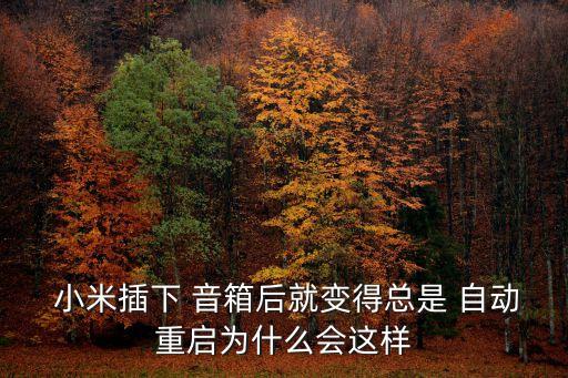  小米插下 音箱后就變得總是 自動重啟為什么會這樣