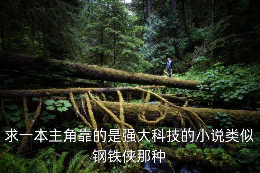 求一本主角靠的是強(qiáng)大科技的小說類似鋼鐵俠那種