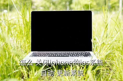 iphone5 關(guān)閉自動更新,如何安裝pp助手?