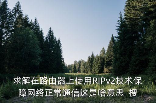 求解在路由器上使用RIPv2技術保障網(wǎng)絡正常通信這是啥意思  搜