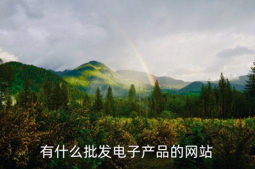 有什么批發(fā)電子產(chǎn)品的網(wǎng)站