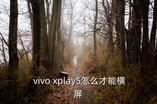  vivo xplay5怎么才能橫屏