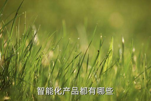 中國(guó)有哪些智能產(chǎn)品，中國(guó)智能手機(jī)品牌總有幾個(gè)