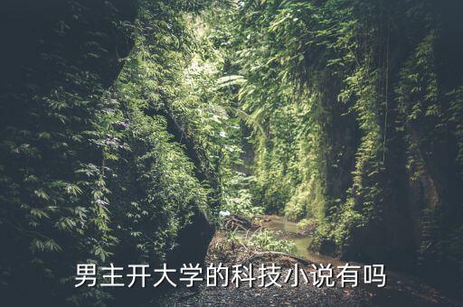 男主開大學的科技小說有嗎