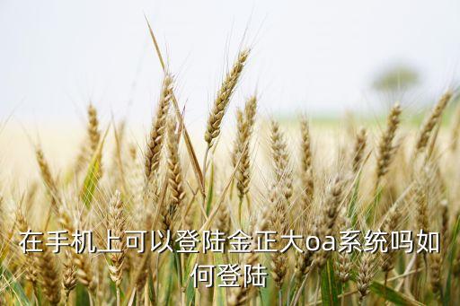 在手機(jī)上可以登陸金正大oa系統(tǒng)嗎如何登陸