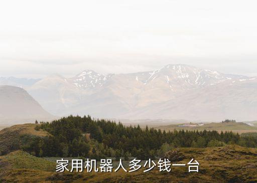 家用機(jī)器人多少錢一臺(tái)
