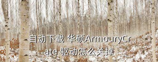  自動(dòng)下載 華碩ArmouryCrate 驅(qū)動(dòng)怎么關(guān)掉