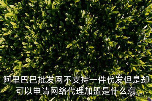 阿里巴巴批發(fā)網(wǎng)不支持一件代發(fā)但是卻可以申請網(wǎng)絡(luò)代理加盟是什么意