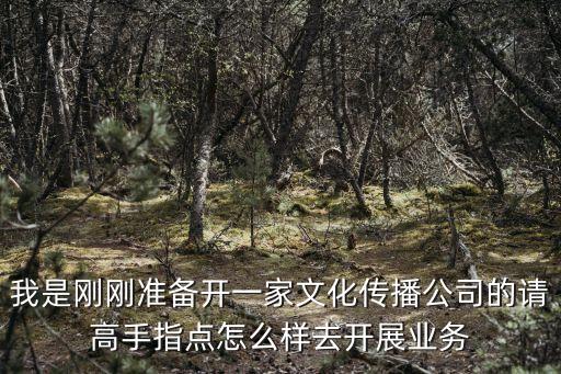 新手怎么開傳媒公司，我是剛剛準備開一家文化傳播公司的請高手指點怎么樣去開展業(yè)務