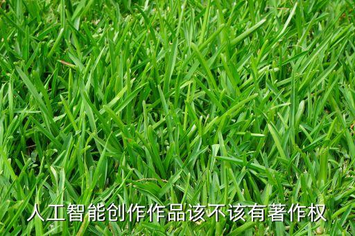 人工智能創(chuàng)作作品該不該有著作權(quán)