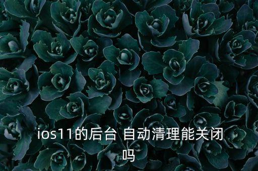  ios11的后臺 自動清理能關(guān)閉嗎