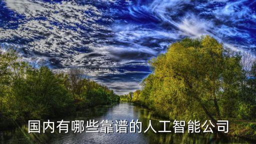國內(nèi)有哪些靠譜的人工智能公司