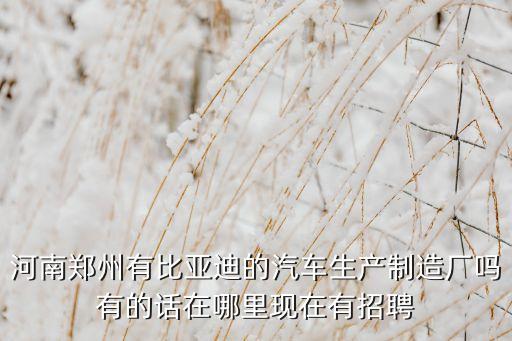 比亞迪鄭州招聘，河南鄭州有比亞迪的汽車生產(chǎn)制造廠嗎有的話在哪里現(xiàn)在有招聘