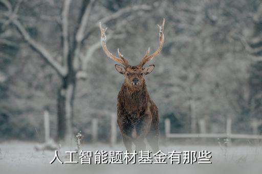 人工智能題材基金有那些