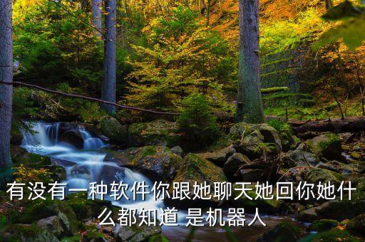 有沒(méi)有一種軟件你跟她聊天她回你她什么都知道 是機(jī)器人