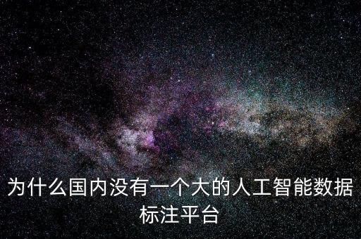 為什么國內(nèi)沒有一個(gè)大的人工智能數(shù)據(jù)標(biāo)注平臺(tái)