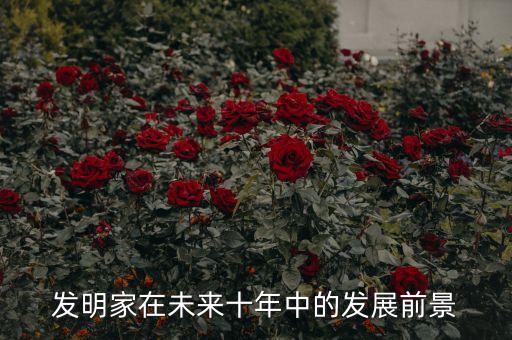超級(jí)未來發(fā)明家，發(fā)明家在未來十年中的發(fā)展前景
