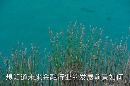 2022金融行業(yè)現(xiàn)狀及發(fā)展趨勢，想知道未來金融行業(yè)的發(fā)展前景如何