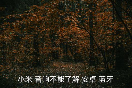 小米 音響不能了解 安卓 藍(lán)牙