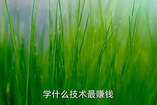 學(xué)什么技術(shù)最賺錢