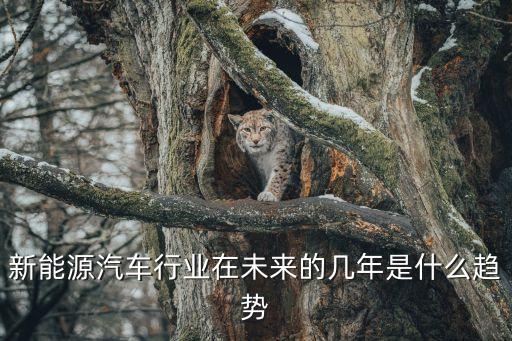 新能源汽車行業(yè)發(fā)展趨勢(shì)，新能源汽車的趨勢(shì)
