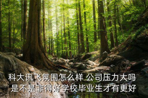 在科大訊飛工作穩(wěn)定嗎，在訊飛皆成工作怎么樣