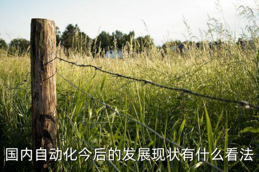 國內(nèi)自動化今后的發(fā)展現(xiàn)狀有什么看法