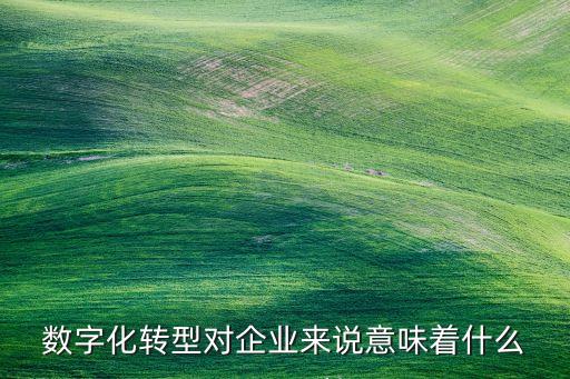 數(shù)字化轉(zhuǎn)型對企業(yè)的意義，數(shù)字化轉(zhuǎn)型能為企業(yè)帶來什么