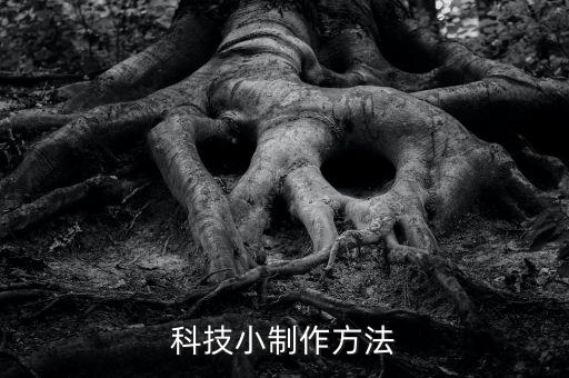 科技小制作方法