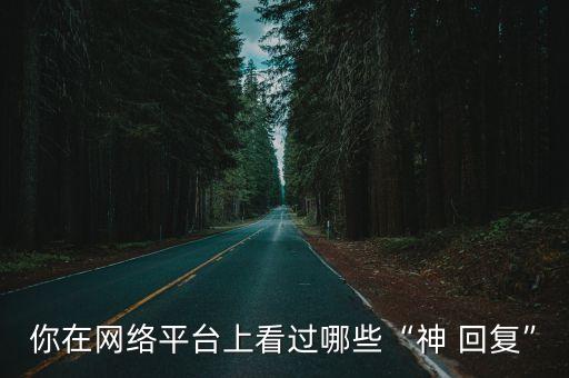 你在網(wǎng)絡(luò)平臺上看過哪些“神 回復”