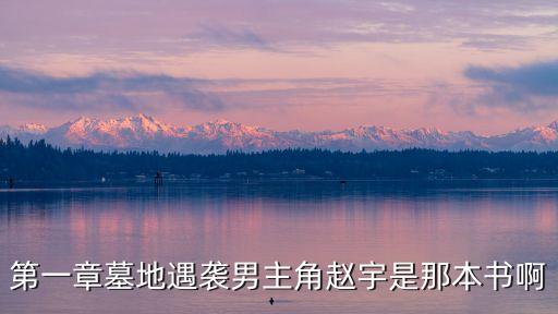 都市之神級(jí)科技趙宇，第一章墓地遇襲男主角趙宇是那本書啊
