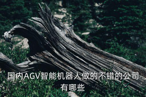 國內(nèi)AGV智能機(jī)器人做的不錯(cuò)的公司有哪些