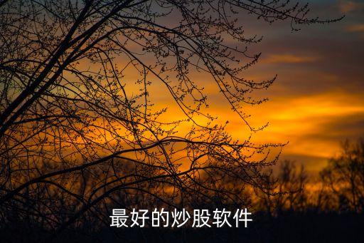 最好的炒股軟件