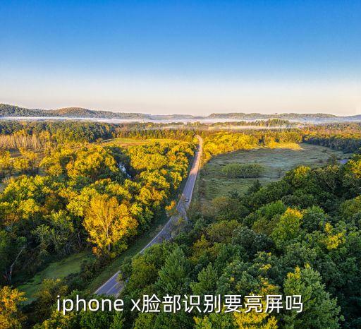 iphone x臉部識別要亮屏嗎